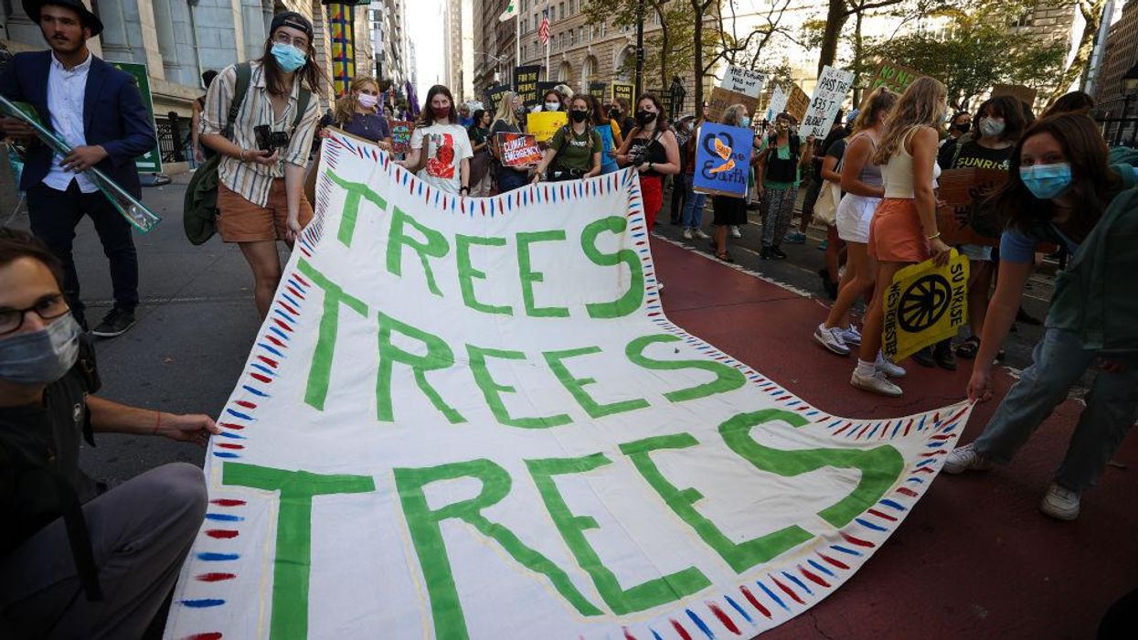 Funding for 'tree equity,' 'high-performance green buildings' included in Democrats' $3.5 trillion spending plan