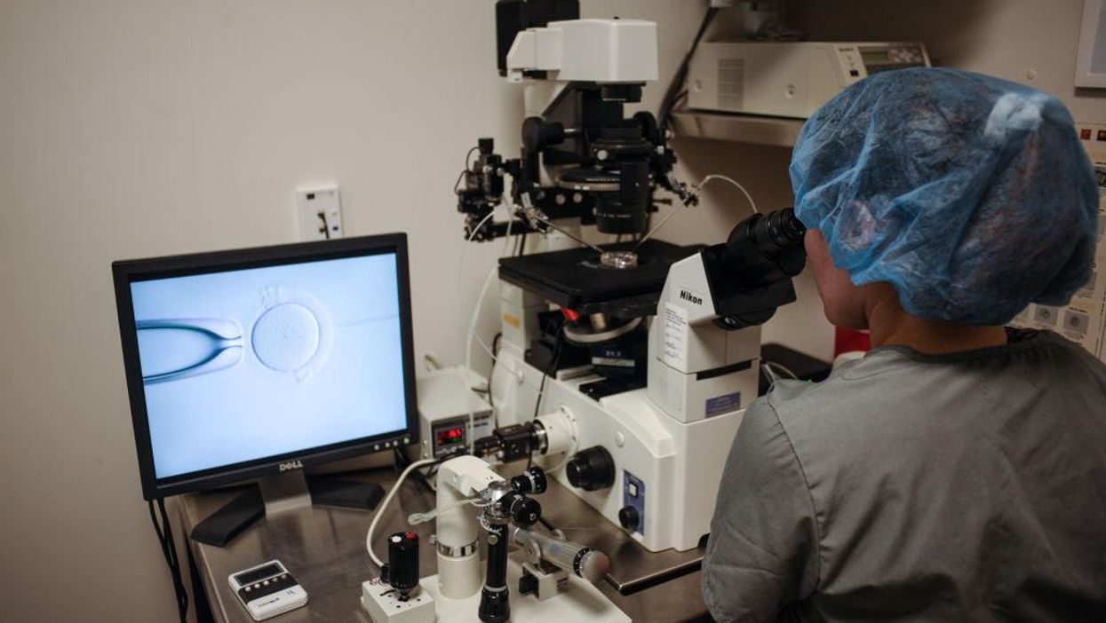 Gay couple reaffirm reality of biological sex by suing fertility clinic for giving them a girl instead of a boy