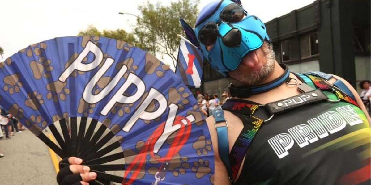 Gay 'Pride' threw open the borders of public morality; it's up to us to close them again