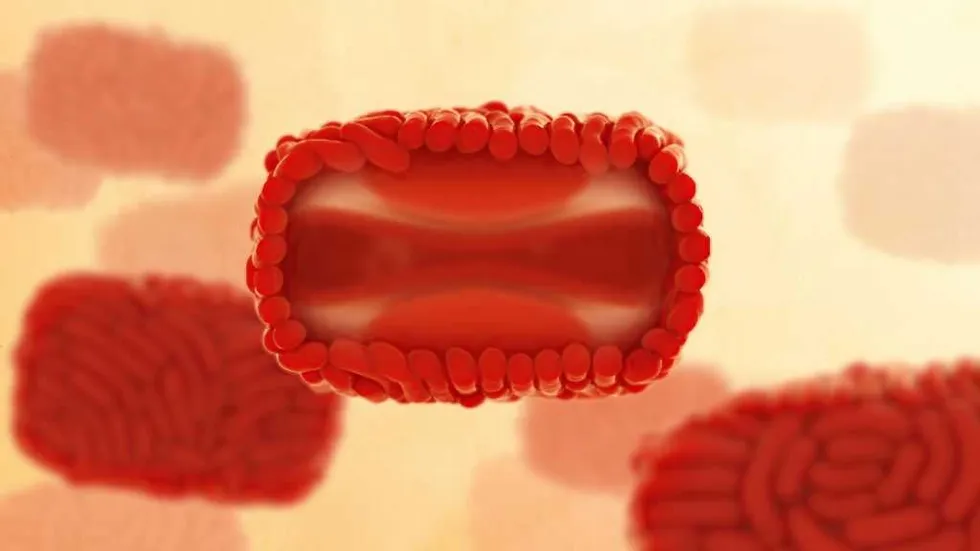 Gay-spread monkeypox is back. Watchdog asks policymakers to drop the political correctness.
