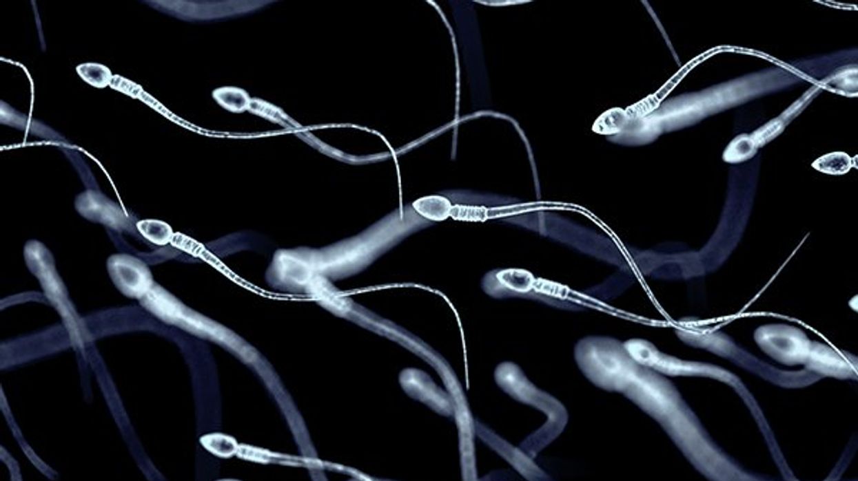 Genetic intervention warping sperm could lead to contraception for men, researchers say