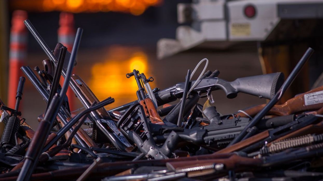 German courts ban members of popular right-wing party from owning guns