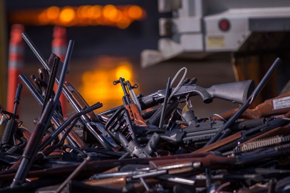 German court bans members of popular right-wing party from owning guns