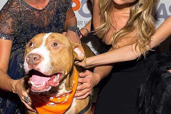 'Gimme' shelter: ASPCA, Humane Society live large on your donations, warns watchdog