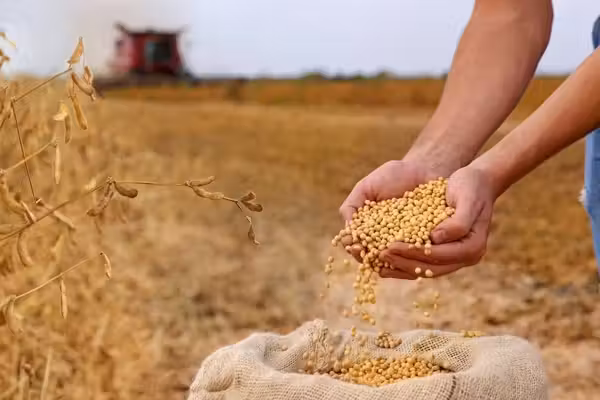 Give thanks for the sun, the CO2, and the farmers — not the climate scolds