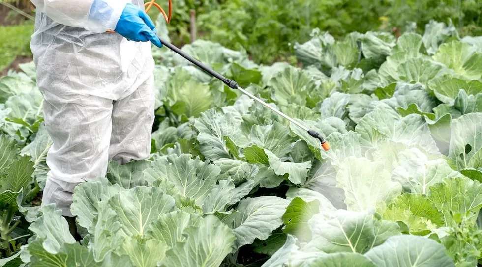 Glyphosate 101: What you need to know about America\u2019s most popular pesticide