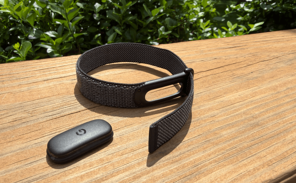 Google's Fitbit overhaul is actually great. There's just one catch.