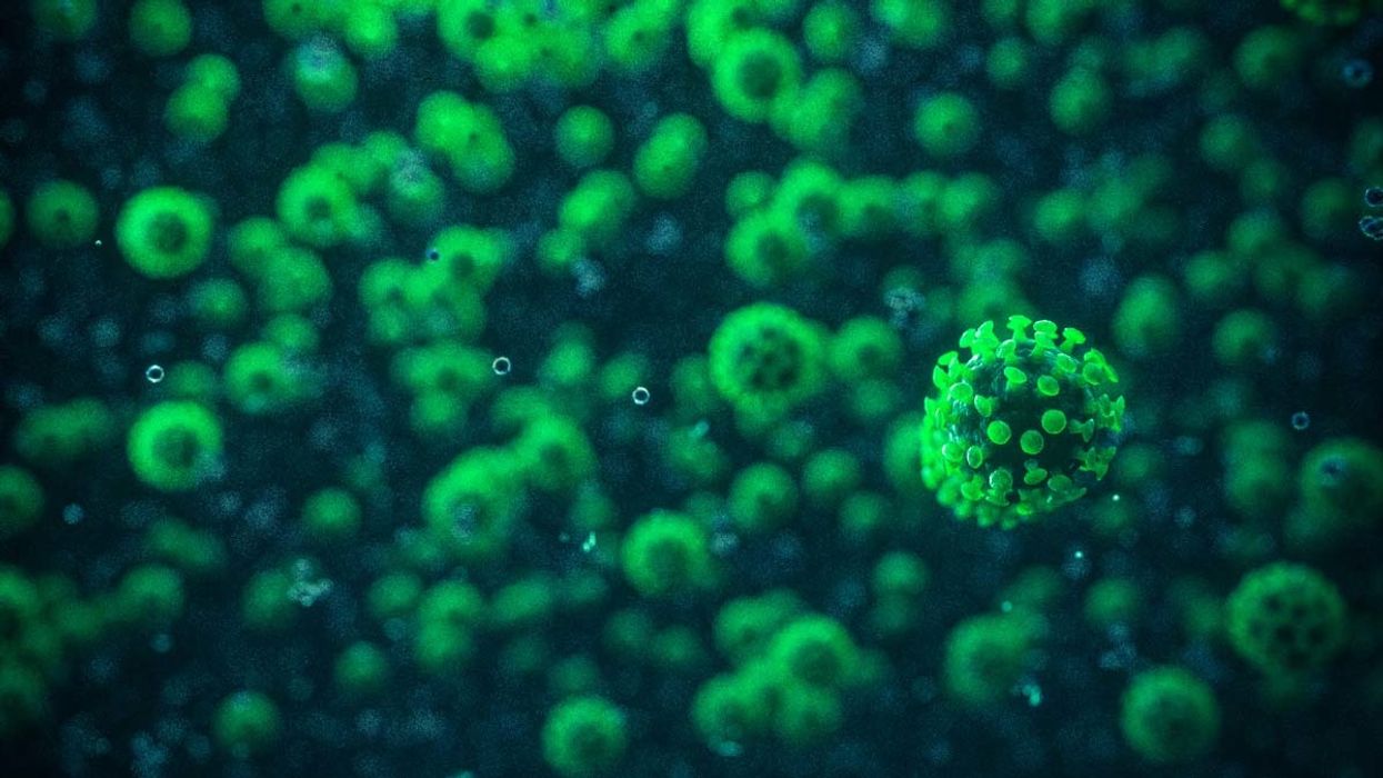 Green virus cells