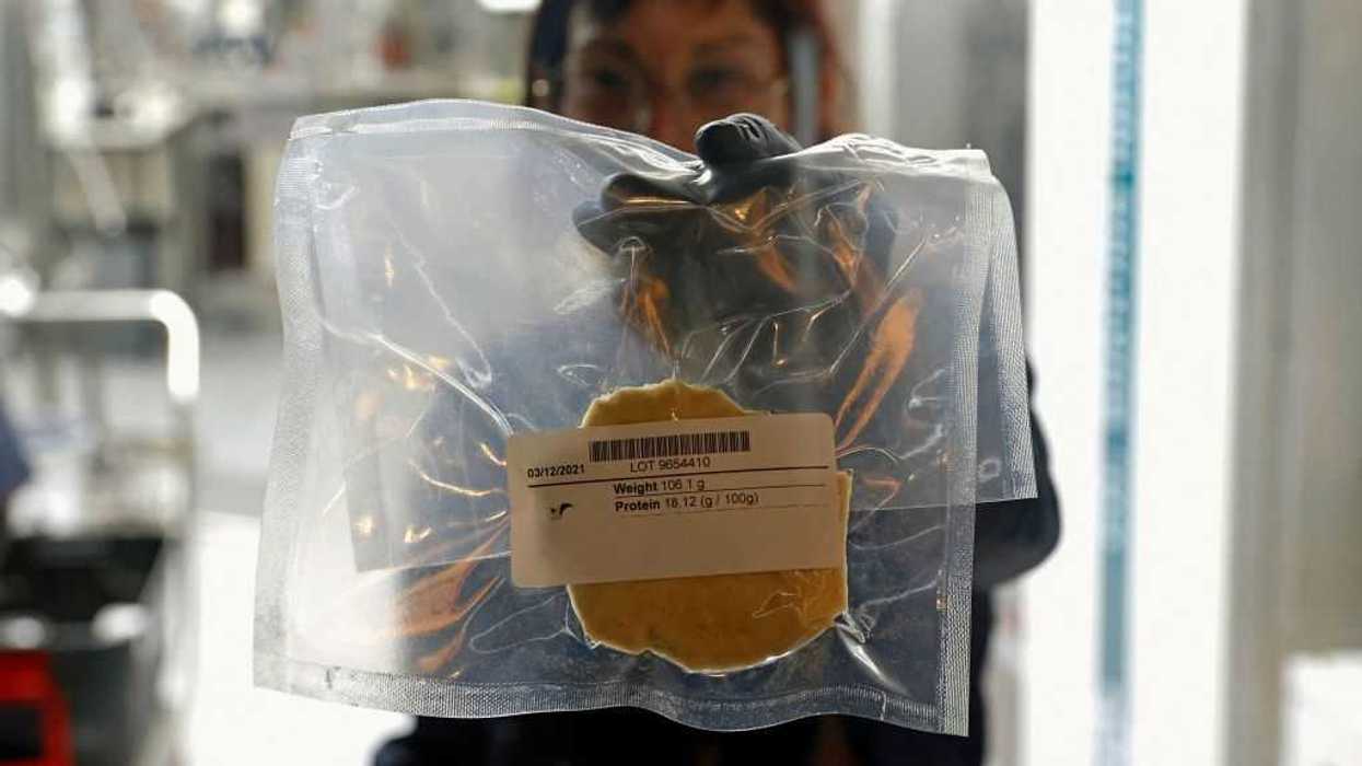 ‘Gross’: WEF elites push for fake, lab-grown meat