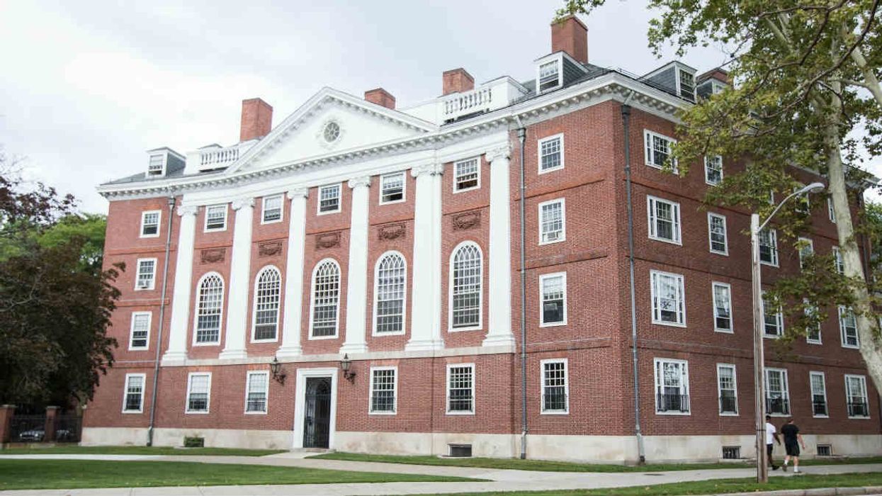 Harvard is the Bud Light of academia