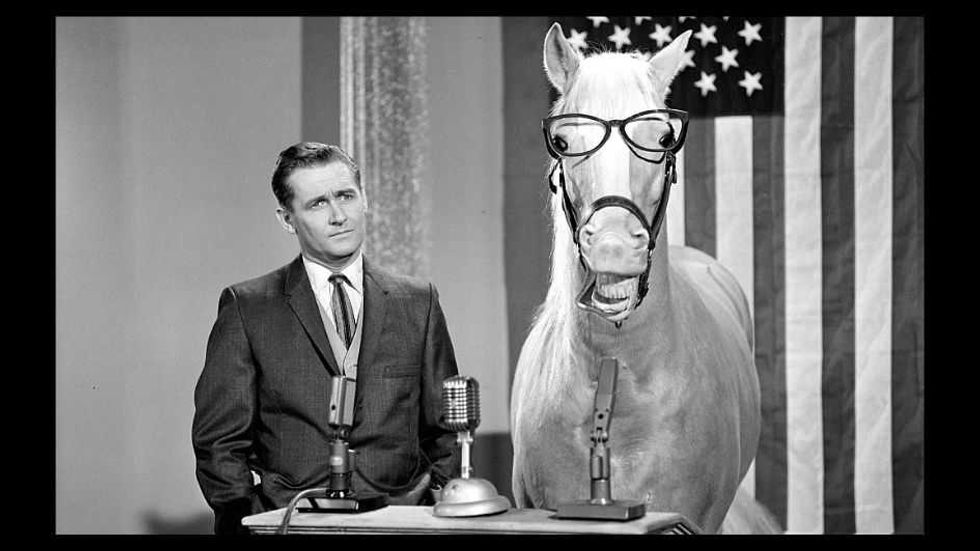 Healthy as a horse: My journey into the ivermectin underworld