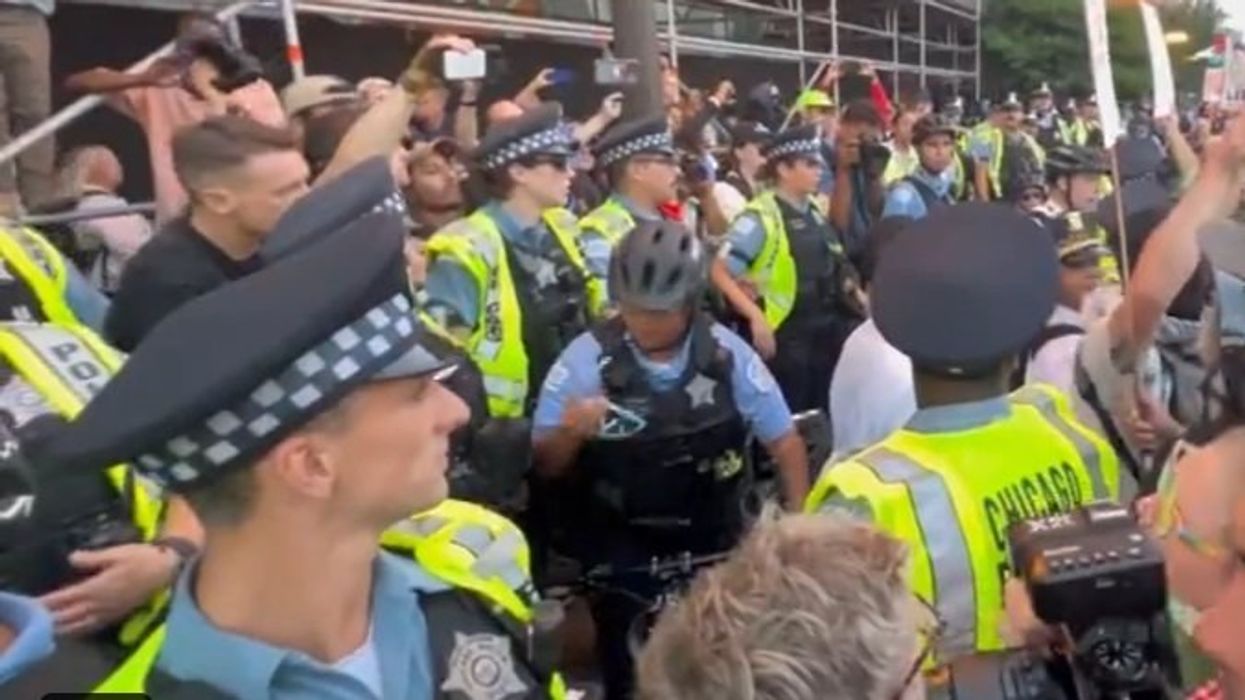 Heavy police presence for DNC as Chicago businesses board up windows, anticipating possible violence: 'Like a police state'