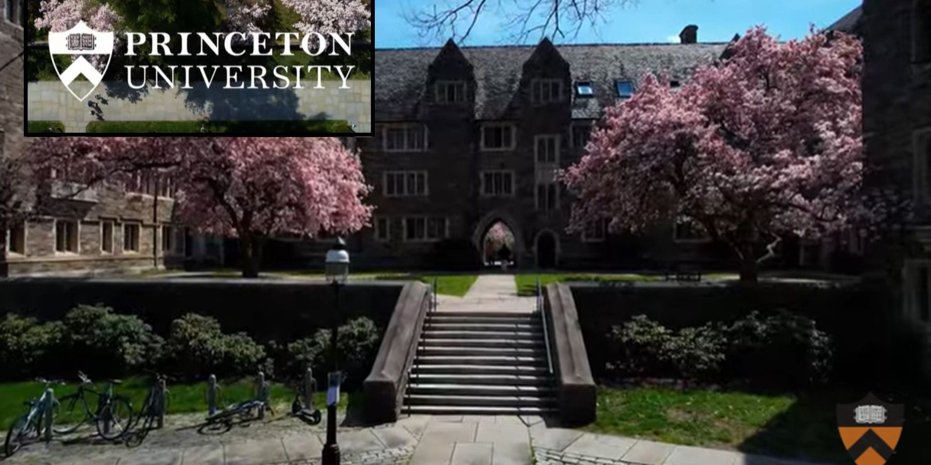 High-profile Princeton grad and leader of school's LGBTQ alumni group arrested for alleged possession of child porn - Vimarsana News