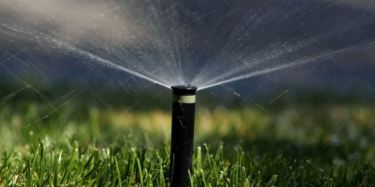 HOA complaint about brown grass led to Florida woman being arrested and jailed for 7 days HOA complaint about brown grass led to Florida woman being arrested and jailed for 7 days