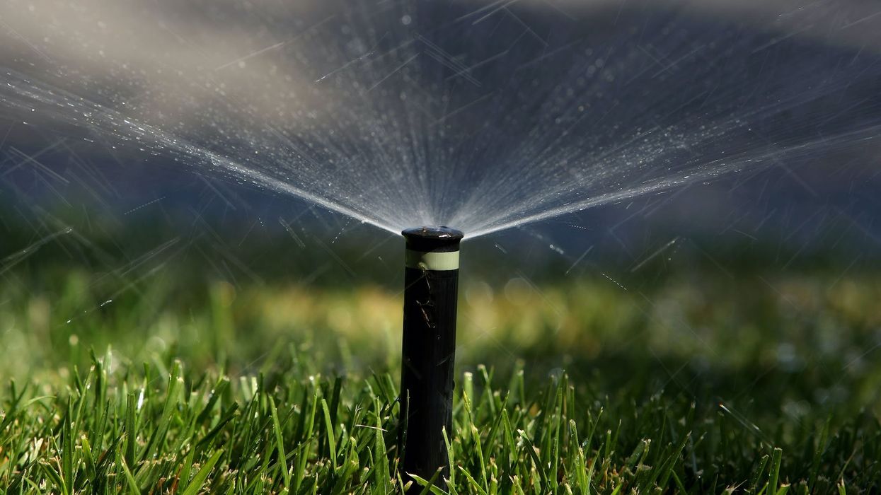 HOA complaint about brown grass led to Florida woman being arrested and jailed for 7 days