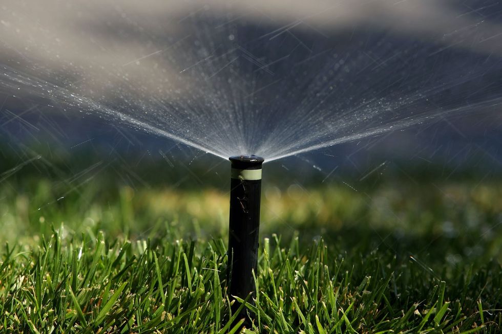 HOA complaint about brown grass led to Florida woman being arrested and jailed for 7 days
