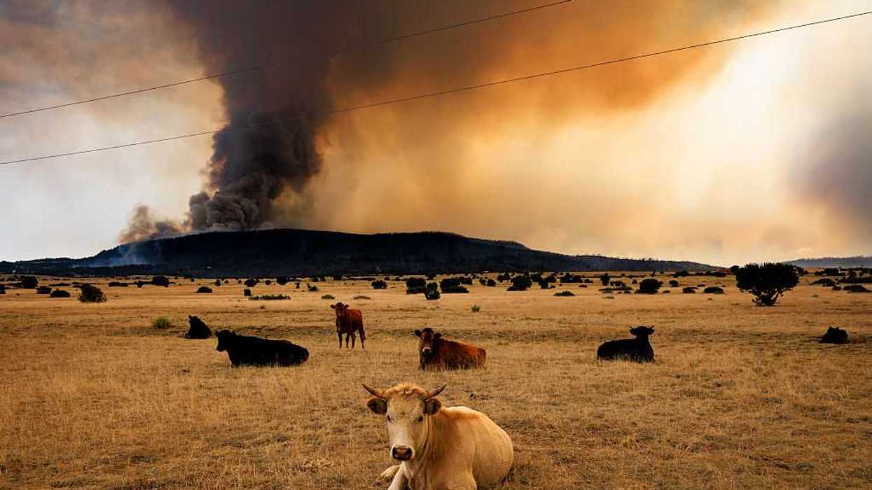 Holy cow, the climate crowd is full of bull