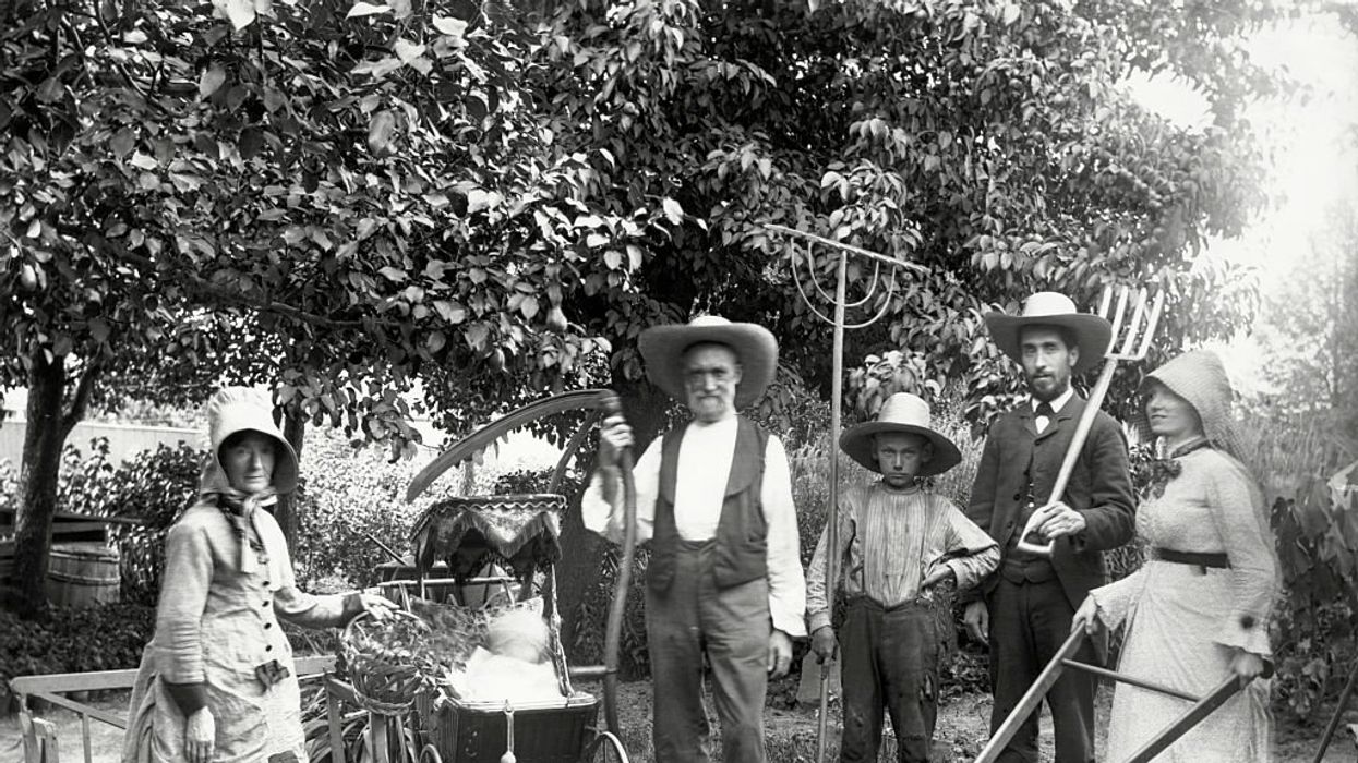Homesteading curious? Try these small steps.