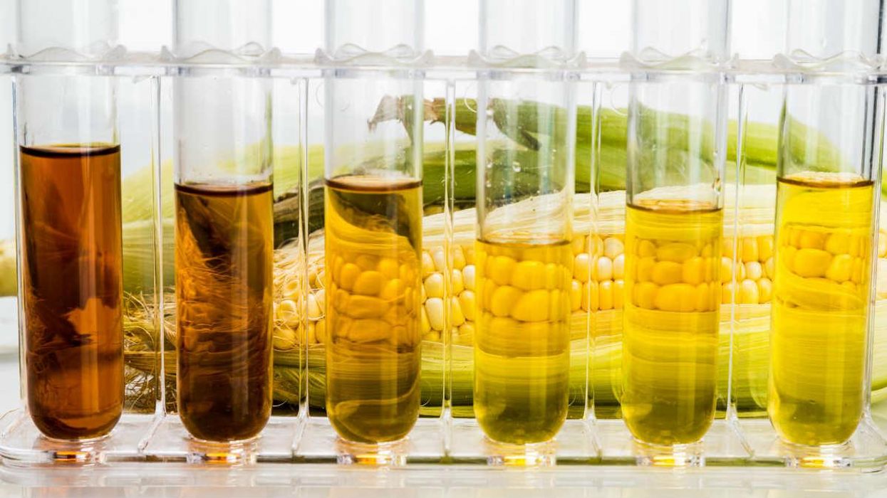 Horowitz: Biden’s plan to alleviate fuel crisis? Dilute the fuel supply even more with corn needed for food