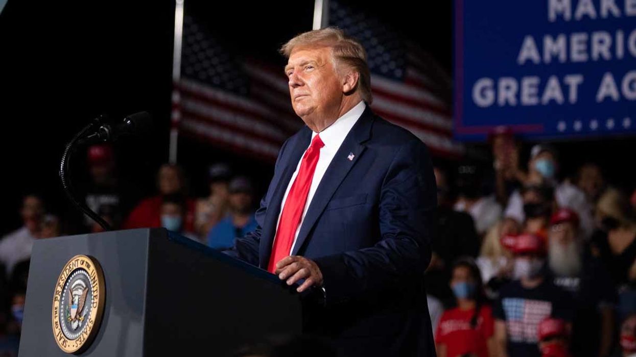 Horowitz: New polls show Trump doing well with Hispanic voters despite perceived hawkish immigration views