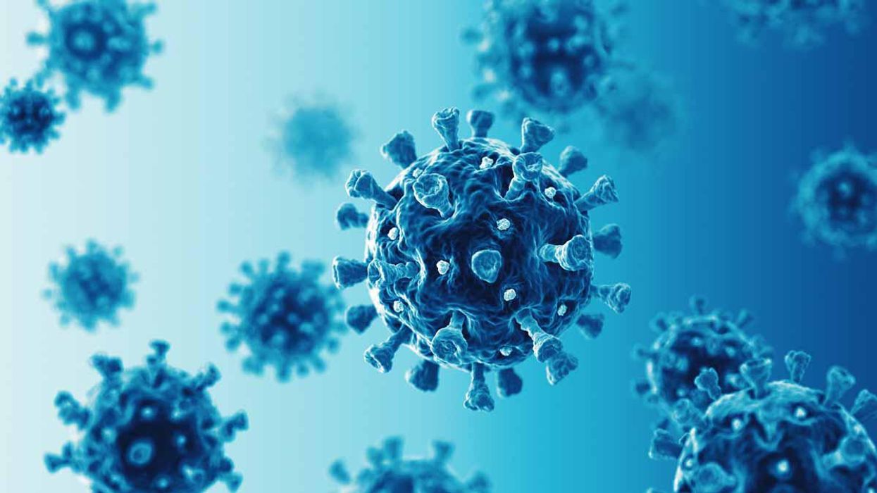 Horowitz: The big lie behind the panic over COVID ‘variants’ exposed