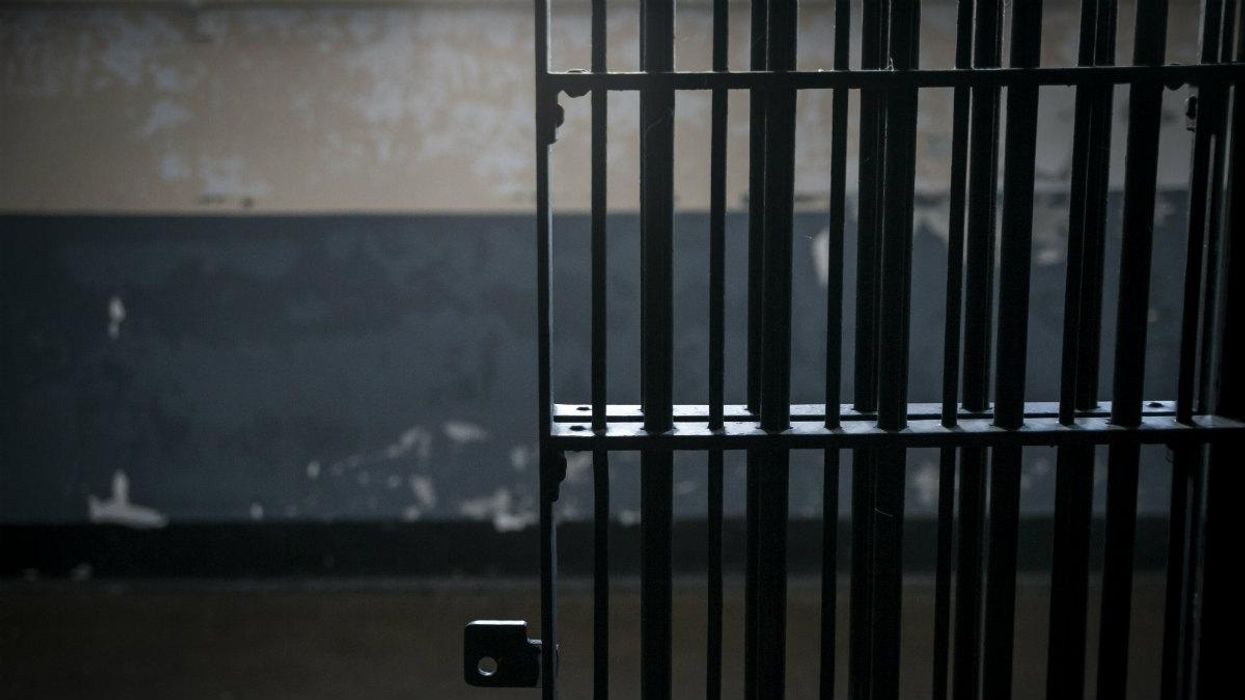 Horowitz: The new Western fascism: Countries are gradually using jail exclusively for political opponents