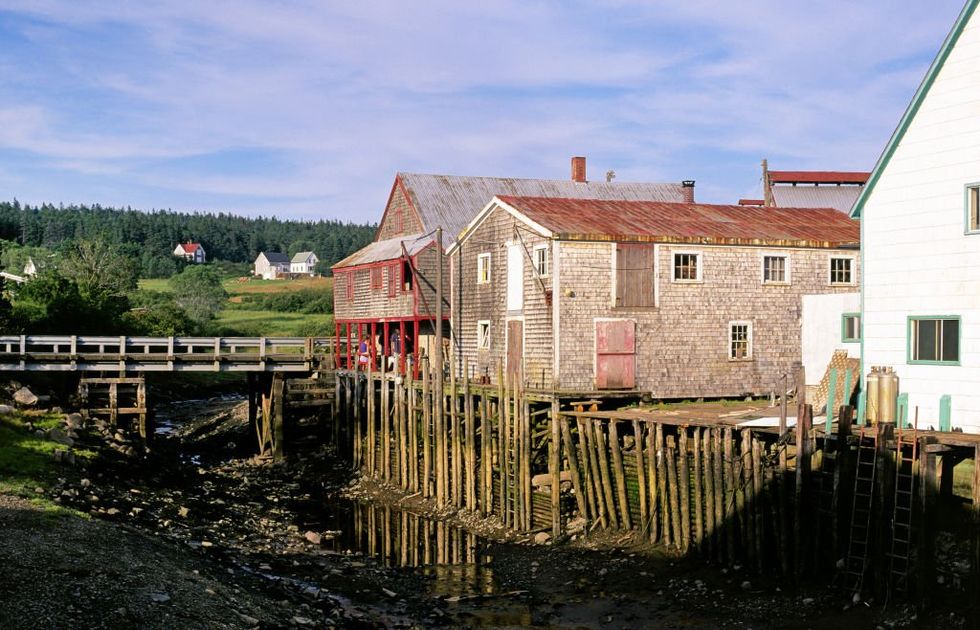 How I rediscovered the virtue of citizenship on a remote Canadian island