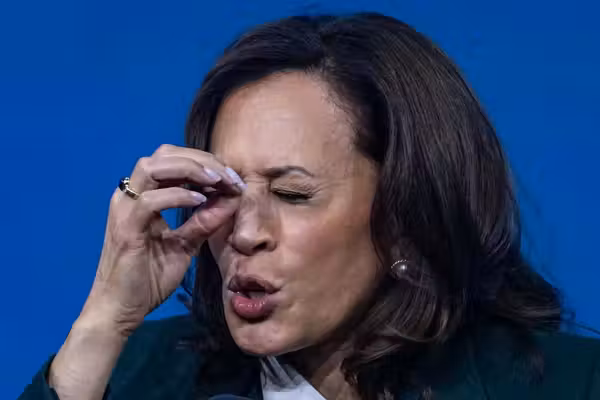 How Kamala Harris accidentally sold the SAVE America Act