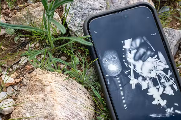 How the FBI actually got the Google Nest footage of Nancy Guthrie’s alleged kidnapper