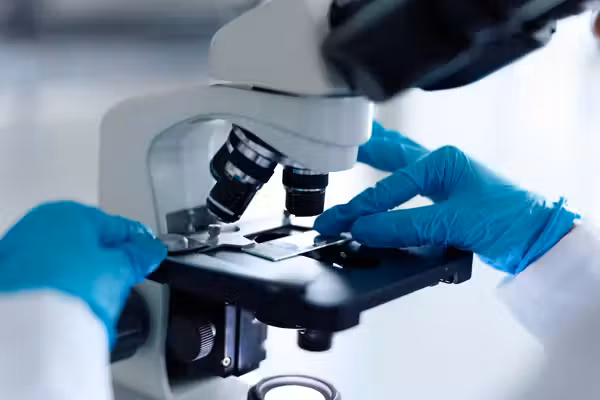 How to renew American scientific research