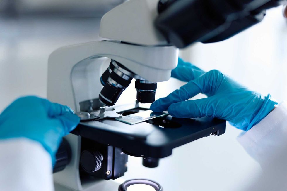 How to renew American scientific research