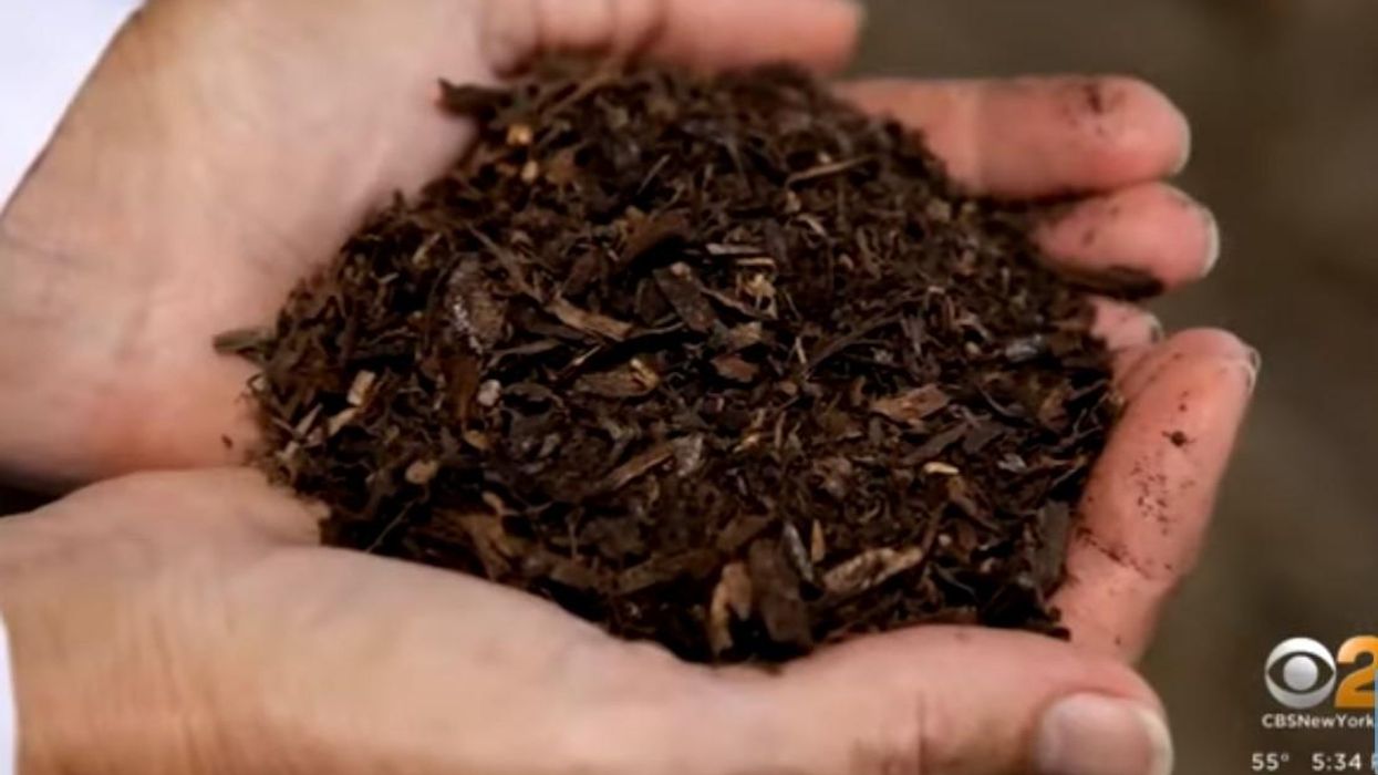 Human composting now legal in New York