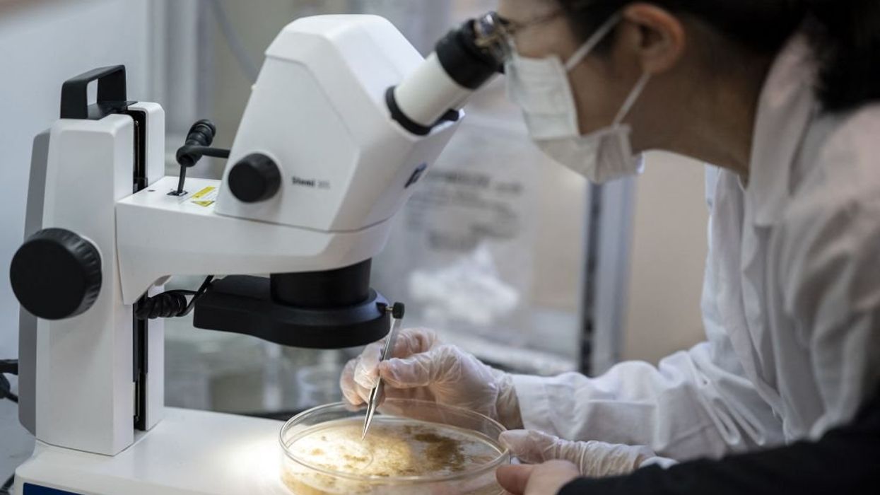 Humans might inhale 16.2 bits of plastic hourly — approximately a credit card per week: Study