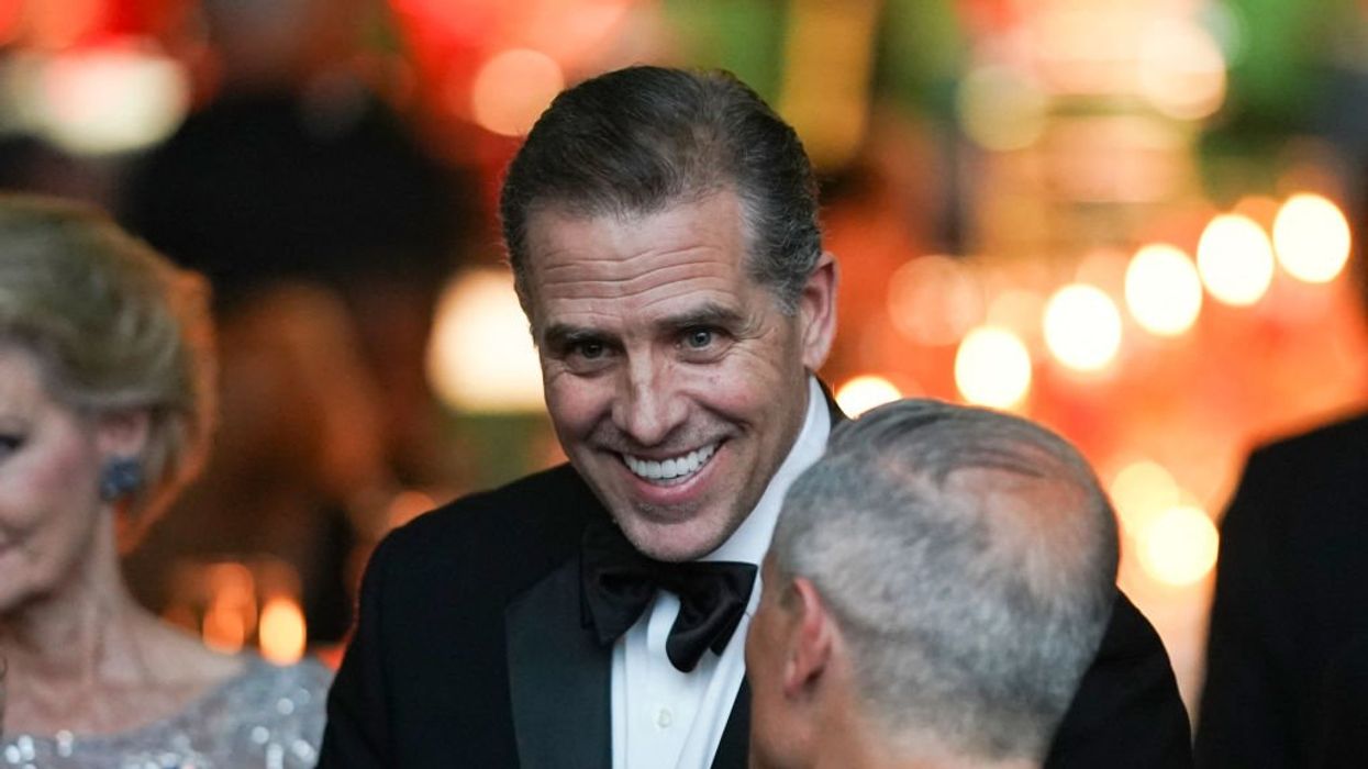 Hunter Biden deducted prostitutes and sex club from his taxes, possibly violated sex-trafficking laws, says IRS whistleblower