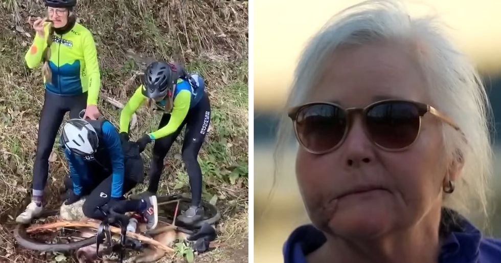 'I could feel the bones crushing'&colon; Cyclists valiantly fight off cougar that had their friend down for the count