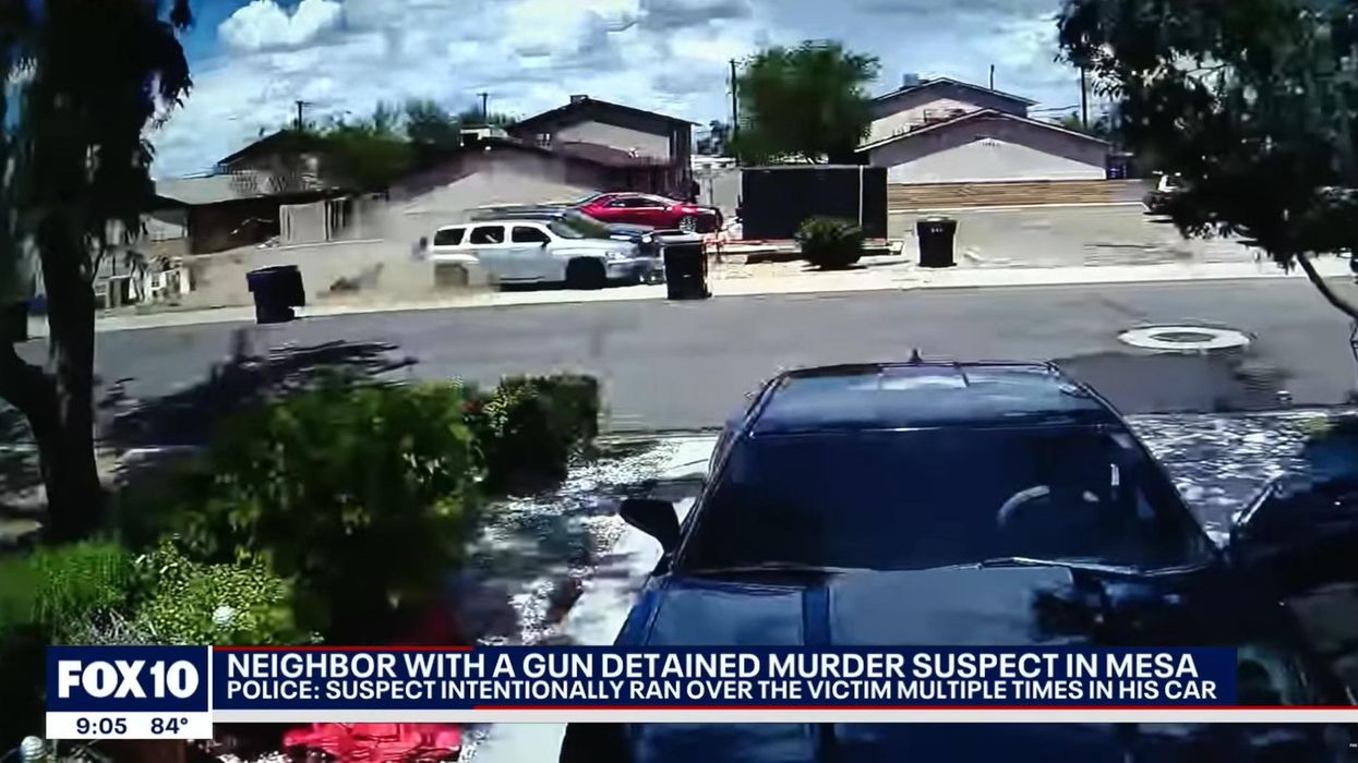 'I couldn't just stand by and watch my neighbor die senselessly': Armed citizen ends grisly rampage