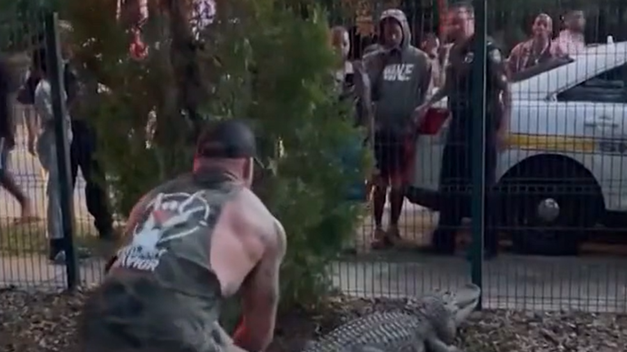 'I felt like Batman': Video shows MMA fighter, Marine veteran wrestling aggressive alligator at Florida elementary school