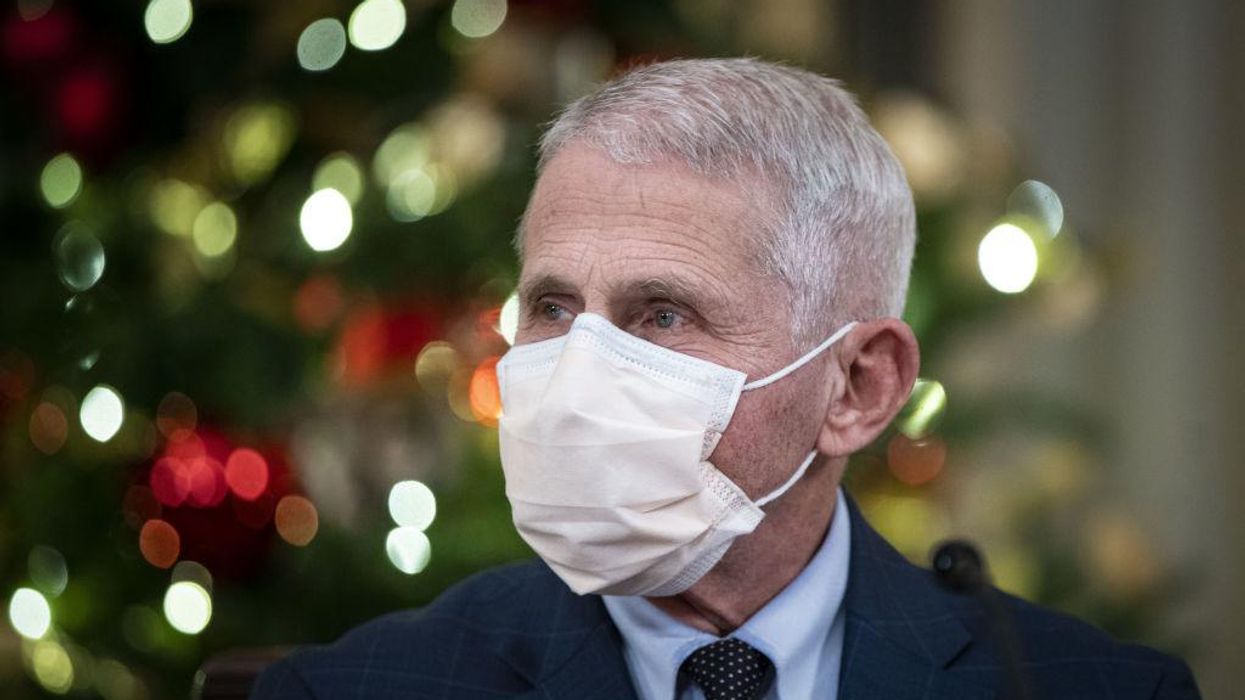 'I got the coolest action figure for Christmas!' Democratic state lawmaker shares photo of Dr. Fauci action figure