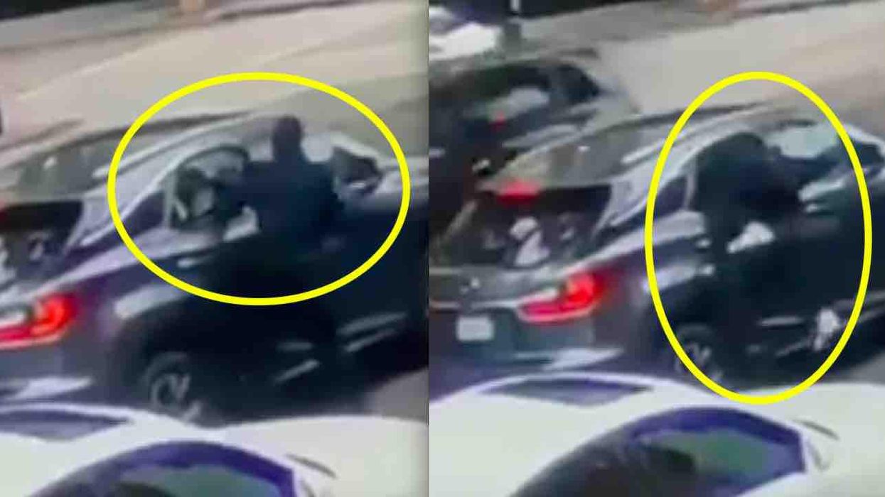 'I wish this was not our world': Brazen crook smashes window of car stuck in traffic, climbs halfway inside, steals terrified driver's purse and backpack