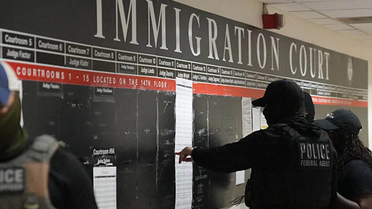 ICE accuses media of peddling 'FALSE narrative' about non-criminal deportations