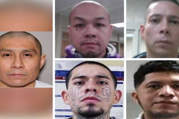 ICE locks up pedophiles, other violent illegal aliens as DHS launches ‘worst of the worst’ searchable site