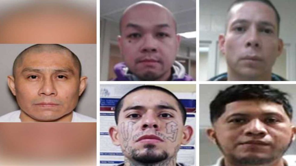 ICE locks up pedophiles, other violent illegal aliens as DHS launches ‘worst of the worst’ searchable site