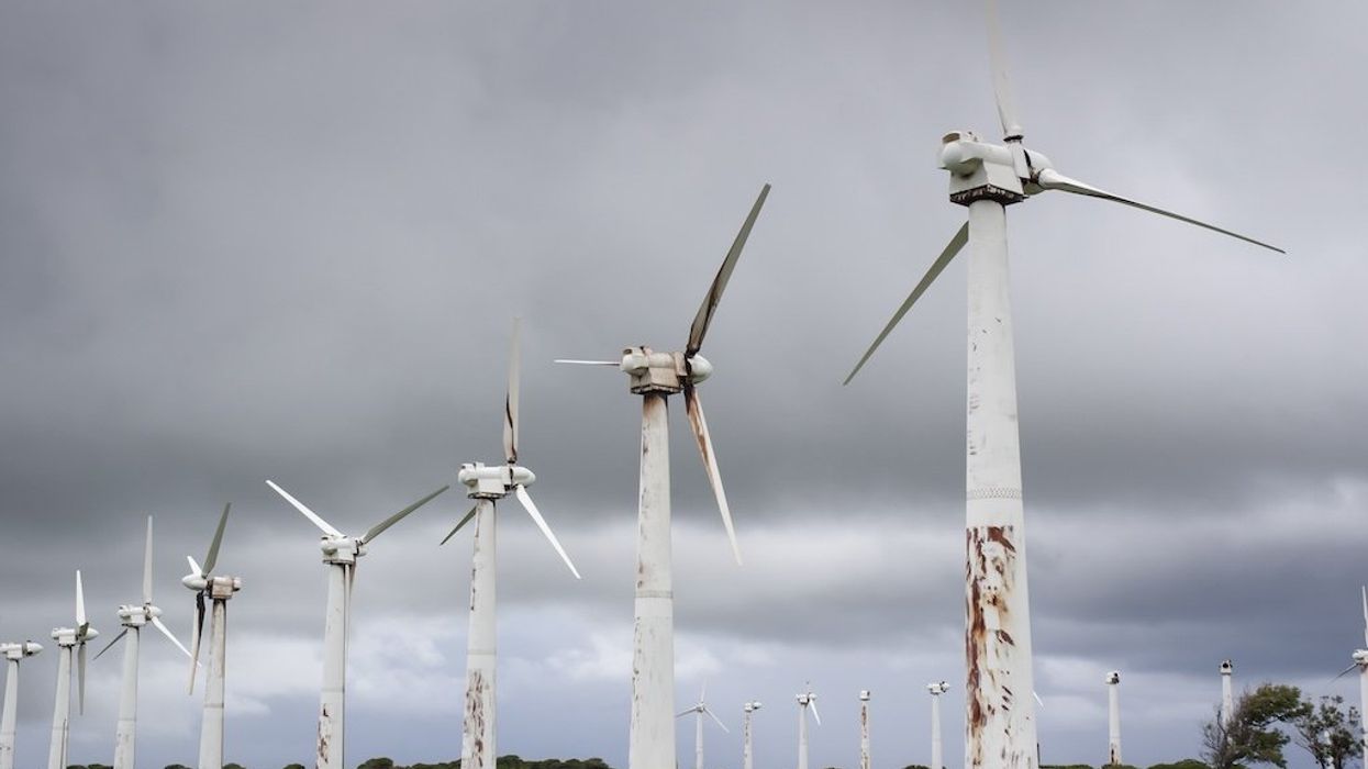 If Trump wins, the Green New Deal must go
