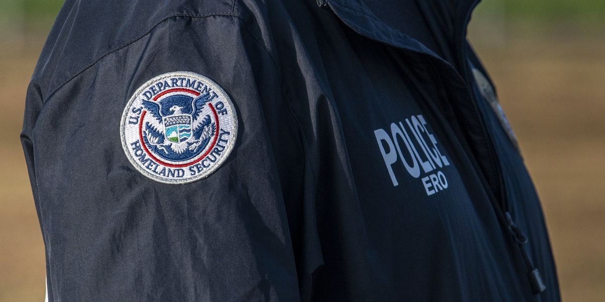 Illegal alien hides in tree for 8 hours in failed attempt to escape ICE arrest Illegal alien hides in tree for 8 hours in failed attempt to escape ICE arrest