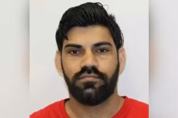 Illegal alien trucker accused of causing crash that killed newlyweds