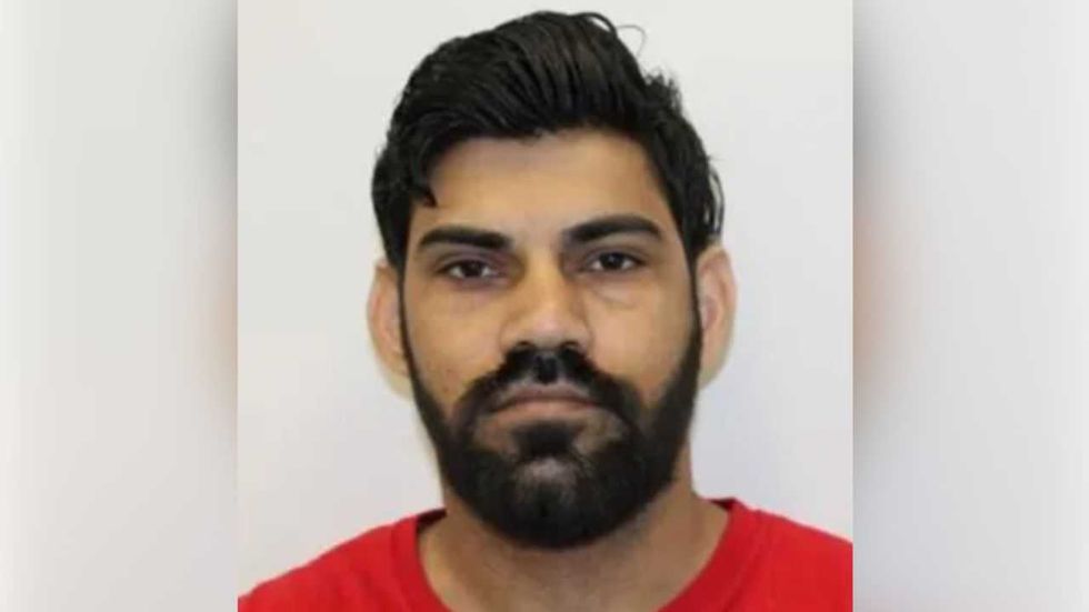 Illegal alien trucker accused of causing crash that killed newlyweds