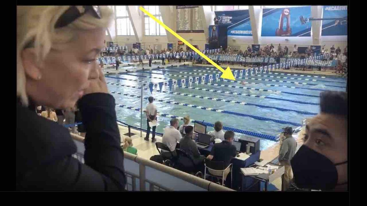 'I’m not a vet, but I know what a dog is': Woke man debates woman on female biology in defense of trans swimmer Lia Thomas. It doesn't go so well for him.