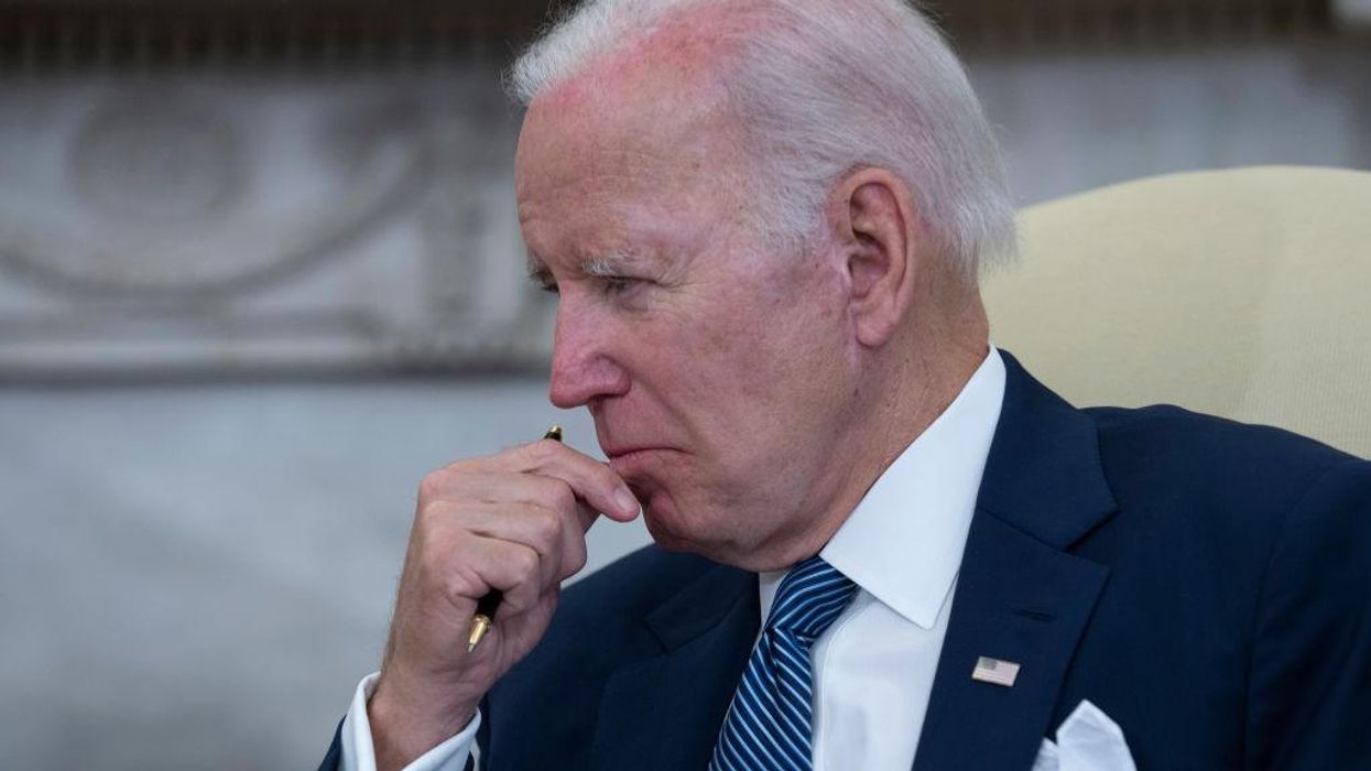 'Israel is a democracy': President Biden says Democrats who accuse Israel of being an apartheid state are 'wrong'
