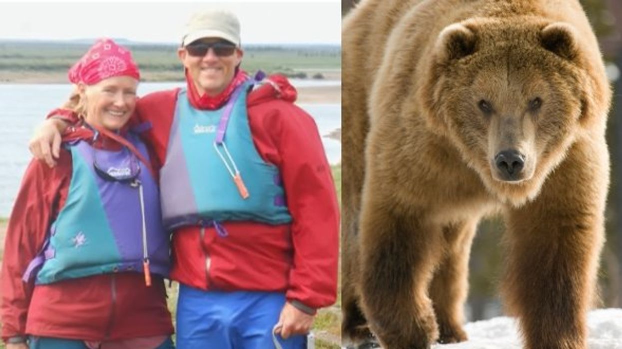 Couple and their dog mauled to death in grizzly bear attack; chilling, final SOS message revealed