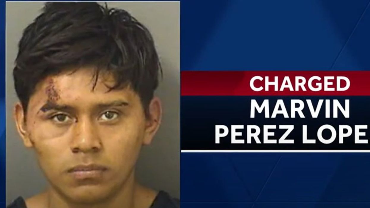 Illegal alien allegedly kidnaps 11-year-old Florida girl, rapes her in van